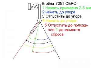 Brother_7051.jpg