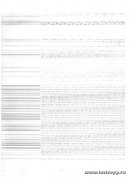 скан дефект LBP 3010 001