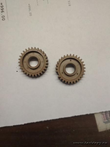 shestrni 29t
