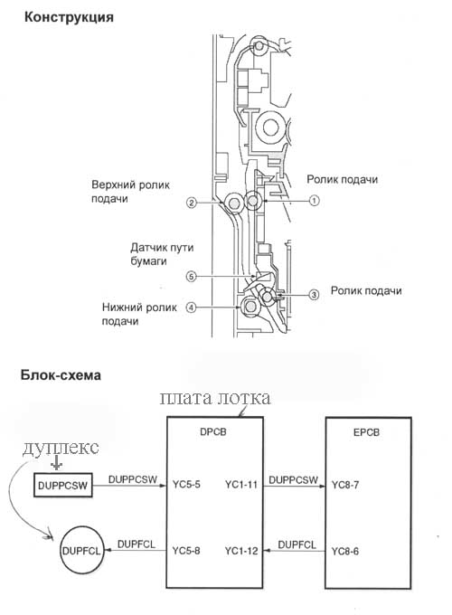 дуплекс