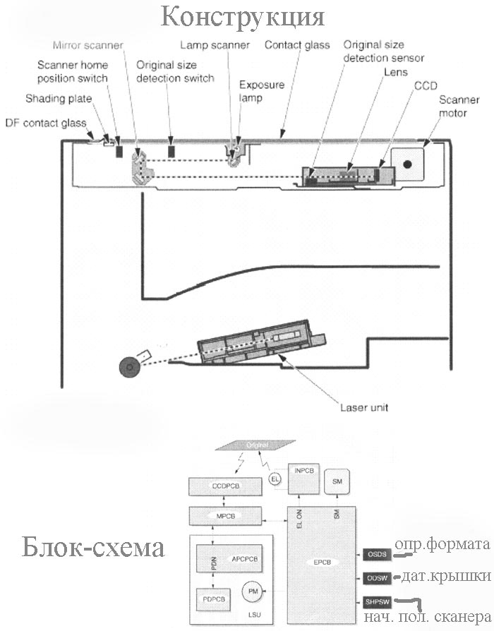 секция экспозиции